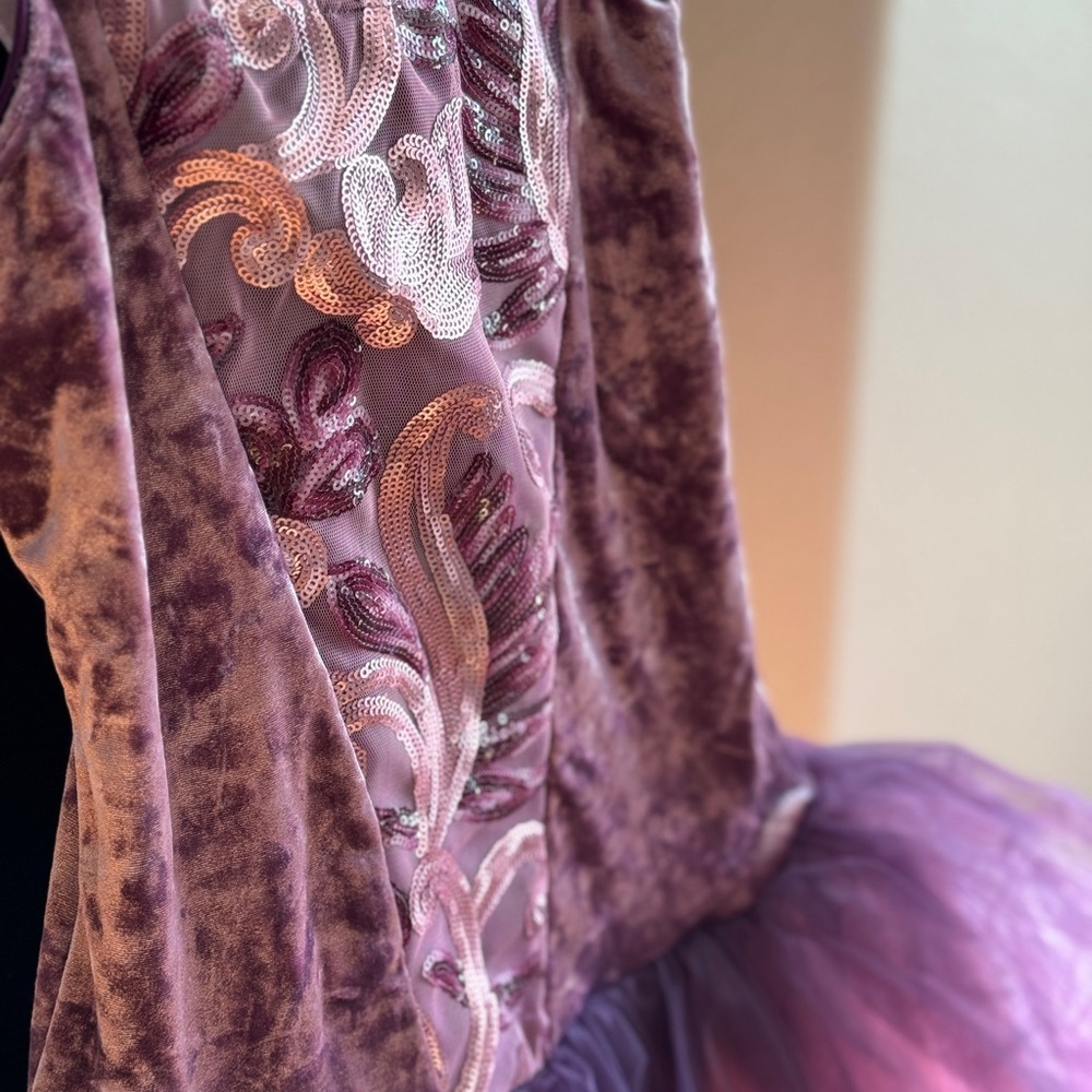 🏰 Pink and Purple Ballet Pointe Dance Costume Adult Medium or 🎀 Princess Dress - Picture 7 of 9